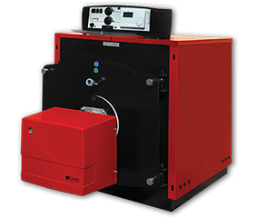 газовый котёл Protherm Бизон